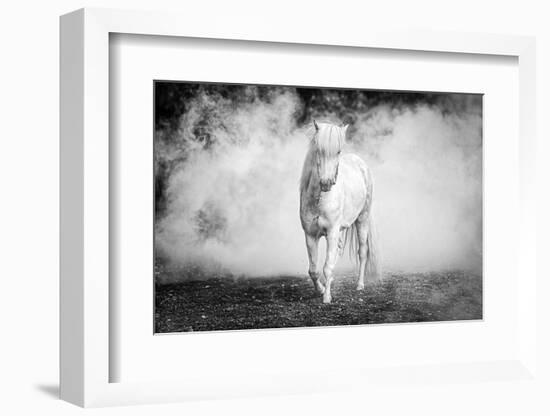 Icelandic pony-Jeffrey C. Sink-Framed Photographic Print