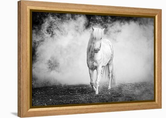 Icelandic pony-Jeffrey C. Sink-Framed Premier Image Canvas