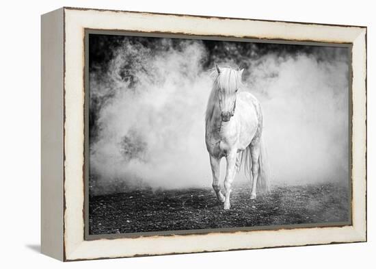 Icelandic pony-Jeffrey C. Sink-Framed Premier Image Canvas