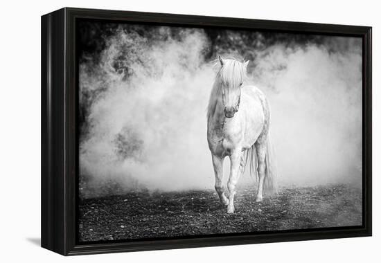 Icelandic pony-Jeffrey C. Sink-Framed Premier Image Canvas