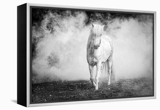 Icelandic pony-Jeffrey C. Sink-Framed Premier Image Canvas