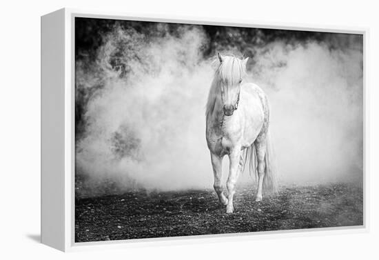 Icelandic pony-Jeffrey C. Sink-Framed Premier Image Canvas