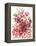 Icelandic Poppies II-Ania Zwara-Framed Stretched Canvas