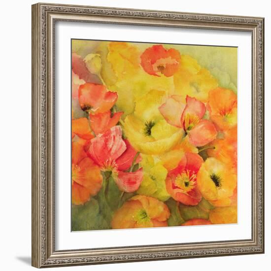 Icelandic Poppies Nudicaule-Karen Armitage-Framed Giclee Print