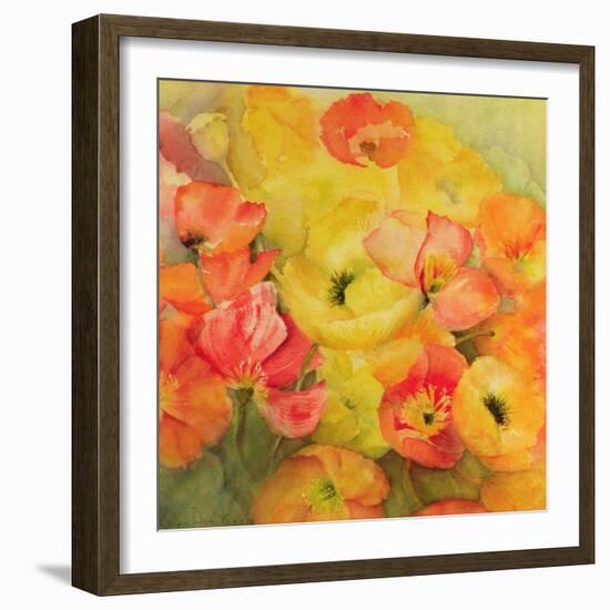 Icelandic Poppies Nudicaule-Karen Armitage-Framed Giclee Print