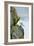 Icelandic Seagull-Howard Ruby-Framed Photographic Print