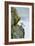 Icelandic Seagull-Howard Ruby-Framed Photographic Print