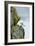 Icelandic Seagull-Howard Ruby-Framed Photographic Print