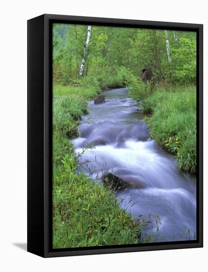 Ichinosei, Norikura, Nagano, Japan-Rob Tilley-Framed Premier Image Canvas