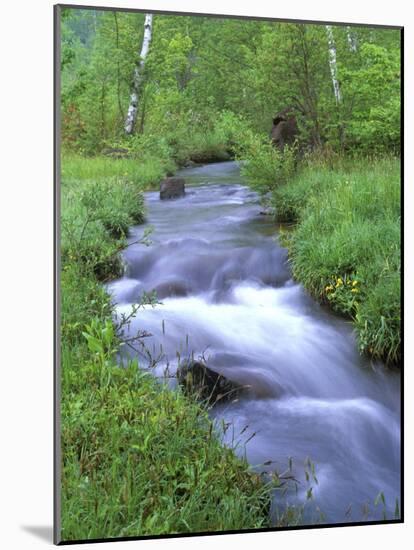 Ichinosei, Norikura, Nagano, Japan-Rob Tilley-Mounted Photographic Print