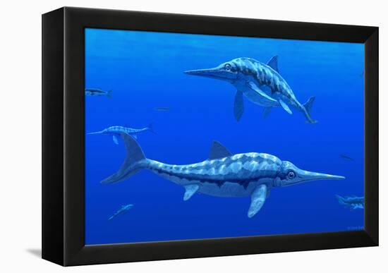 Ichthyosaur Marine Reptiles-Chris Butler-Framed Premier Image Canvas