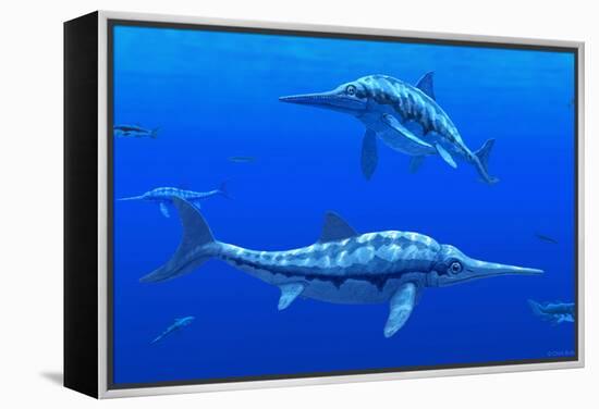 Ichthyosaur Marine Reptiles-Chris Butler-Framed Premier Image Canvas