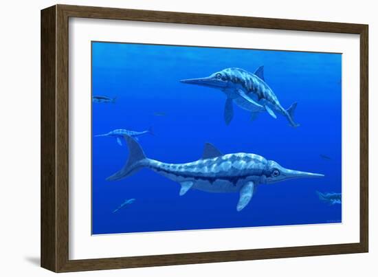 Ichthyosaur Marine Reptiles-Chris Butler-Framed Photographic Print