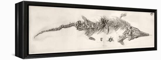 Ichthyosaur Skeleton Engraving 1819 Home-Stewart Stewart-Framed Premier Image Canvas