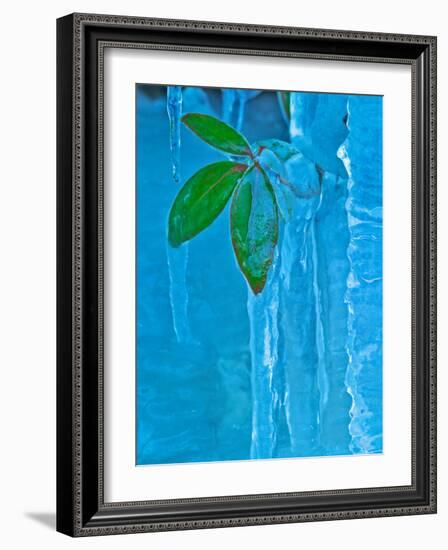 Icicle, Great Smoky Mountains National Park, Tennessee, USA-Adam Jones-Framed Photographic Print