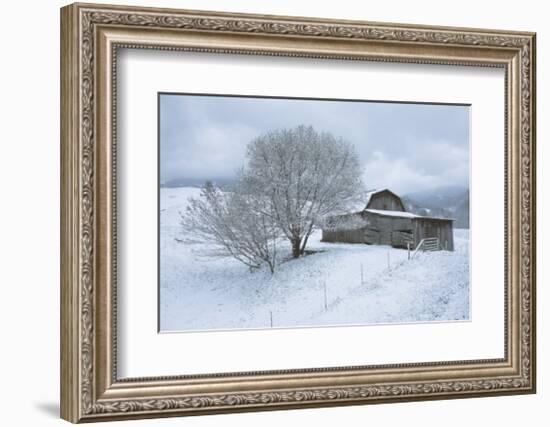 Icicle Magic-David Winston-Framed Giclee Print