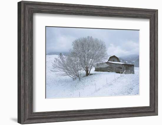 Icicle Magic-David Winston-Framed Giclee Print