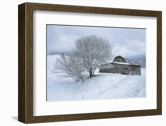 Icicle Magic-David Winston-Framed Giclee Print