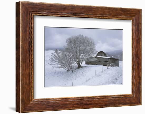 Icicle Magic-David Lorenz Winston-Framed Art Print