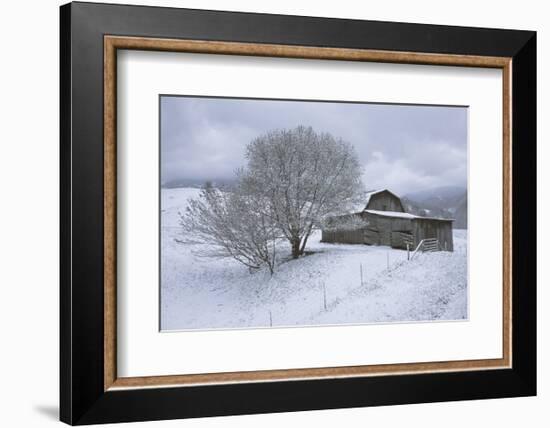 Icicle Magic-David Lorenz Winston-Framed Art Print