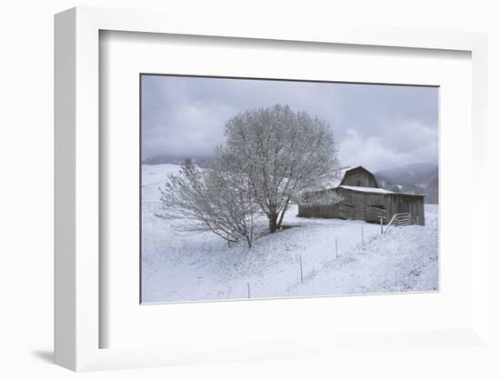 Icicle Magic-David Lorenz Winston-Framed Art Print