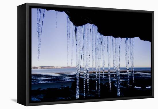 Icicles Hang 1-Charles Bowman-Framed Premier Image Canvas