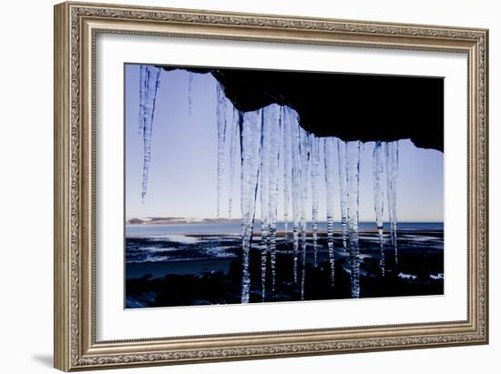 Icicles Hang 1-Charles Bowman-Framed Photographic Print