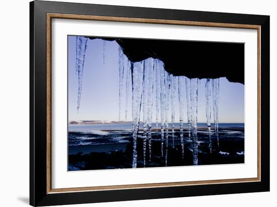 Icicles Hang 1-Charles Bowman-Framed Photographic Print