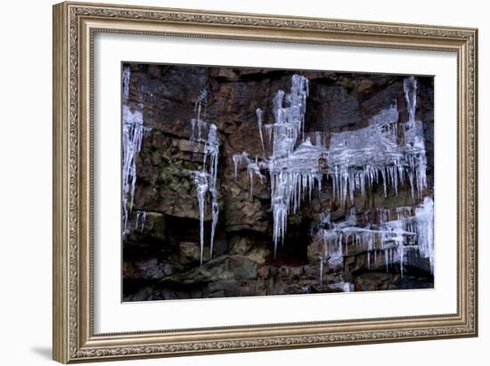 Icicles Hang-Charles Bowman-Framed Photographic Print