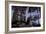 Icicles Hang-Charles Bowman-Framed Photographic Print