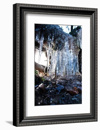 Icicles in the back light, Baden-Wurttemberg, Germany-Michael Hartmann-Framed Photographic Print