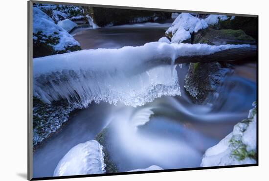 Icicles in the Stream Course in the Winter Wood, Triebtal, Vogtland, Saxony, Germany-Falk Hermann-Mounted Photographic Print