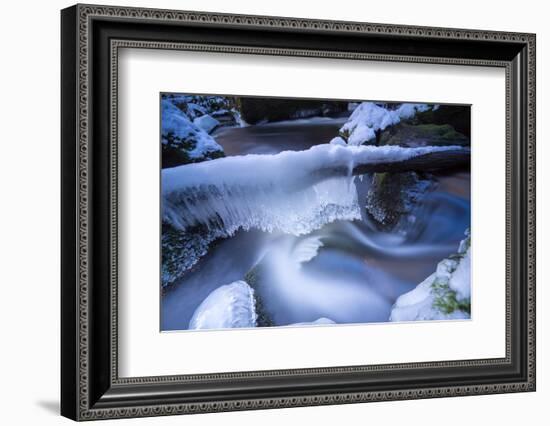 Icicles in the Stream Course in the Winter Wood, Triebtal, Vogtland, Saxony, Germany-Falk Hermann-Framed Photographic Print