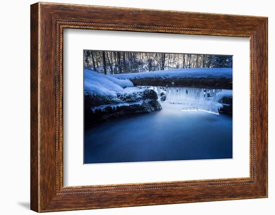 Icicles in the Stream Course in the Winter Wood, Triebtal, Vogtland, Saxony, Germany-Falk Hermann-Framed Photographic Print