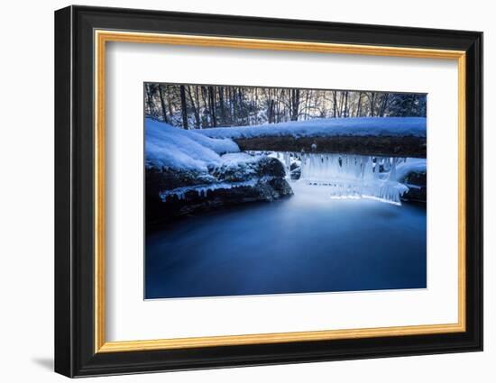 Icicles in the Stream Course in the Winter Wood, Triebtal, Vogtland, Saxony, Germany-Falk Hermann-Framed Photographic Print