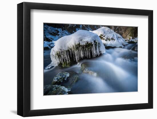 Icicles in the Stream Course in the Winter Wood, Triebtal, Vogtland, Saxony, Germany-Falk Hermann-Framed Photographic Print