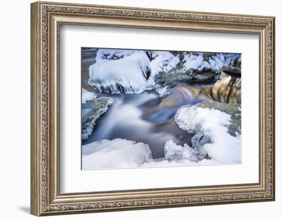 Icicles in the Stream Course in the Winter Wood-Falk Hermann-Framed Photographic Print