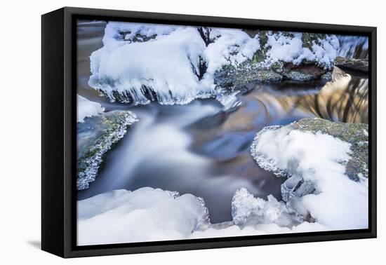 Icicles in the Stream Course in the Winter Wood-Falk Hermann-Framed Premier Image Canvas