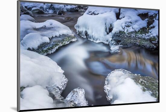 Icicles in the Stream Course in the Winter Wood-Falk Hermann-Mounted Photographic Print