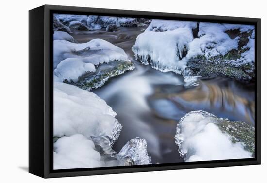 Icicles in the Stream Course in the Winter Wood-Falk Hermann-Framed Premier Image Canvas