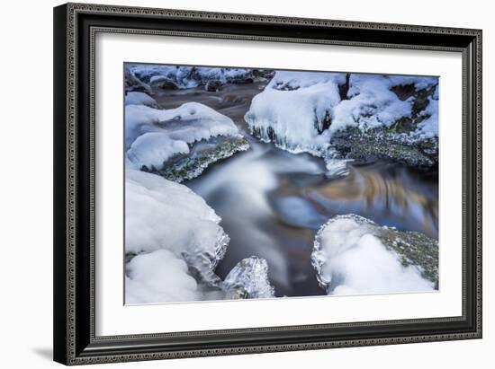 Icicles in the Stream Course in the Winter Wood-Falk Hermann-Framed Photographic Print