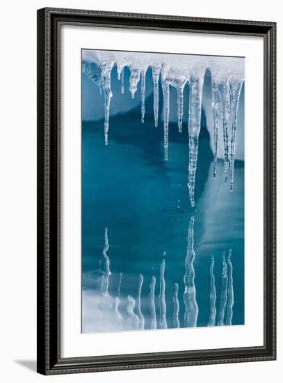 Icicles Mirrored in Calm Water from Ice Floating in the Neumayer Channel Near Wiencke Island-Michael Nolan-Framed Photographic Print