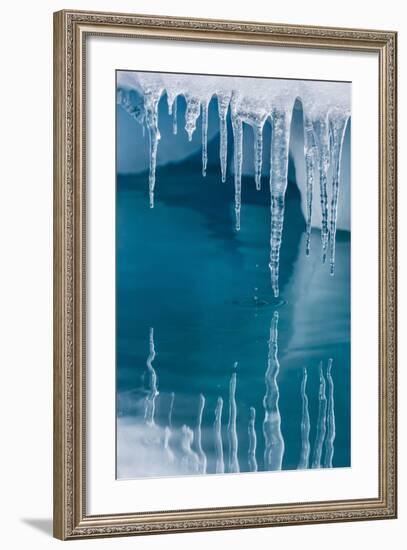 Icicles Mirrored in Calm Water from Ice Floating in the Neumayer Channel Near Wiencke Island-Michael Nolan-Framed Photographic Print