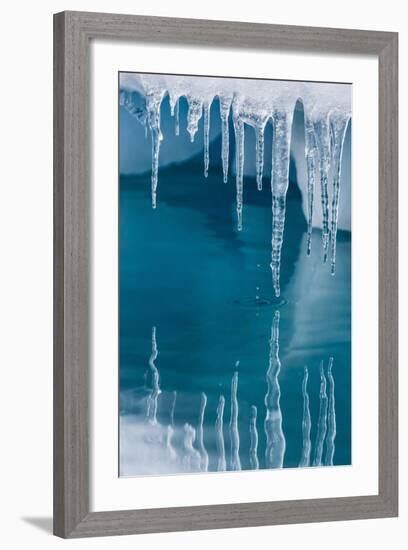 Icicles Mirrored in Calm Water from Ice Floating in the Neumayer Channel Near Wiencke Island-Michael Nolan-Framed Photographic Print