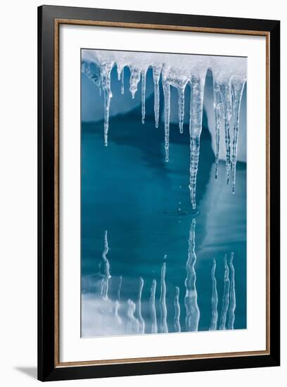 Icicles Mirrored in Calm Water from Ice Floating in the Neumayer Channel Near Wiencke Island-Michael Nolan-Framed Photographic Print