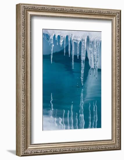 Icicles Mirrored in Calm Water from Ice Floating in the Neumayer Channel Near Wiencke Island-Michael Nolan-Framed Photographic Print