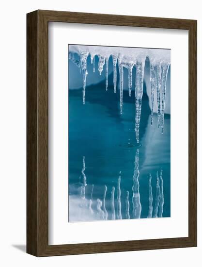 Icicles Mirrored in Calm Water from Ice Floating in the Neumayer Channel Near Wiencke Island-Michael Nolan-Framed Photographic Print