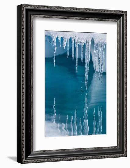 Icicles Mirrored in Calm Water from Ice Floating in the Neumayer Channel Near Wiencke Island-Michael Nolan-Framed Photographic Print