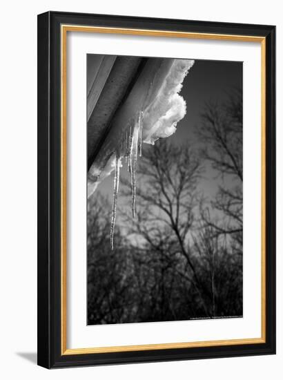Icicles on Gutter-null-Framed Photo