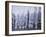 Icicles-null-Framed Photographic Print